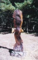 Eagle Sideways